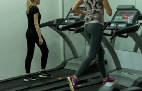 ������ ���� �Evolution Sport�