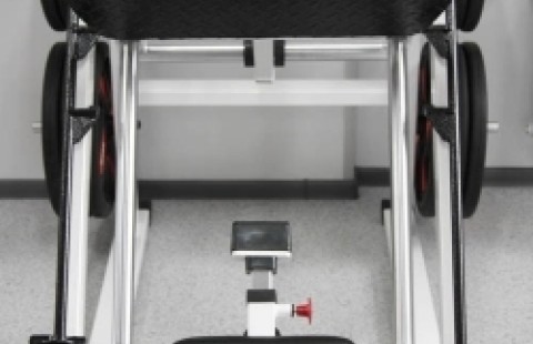 ������ ���� �Evolution Sport�