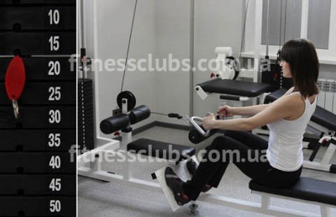 ������ ���� �Evolution Sport�