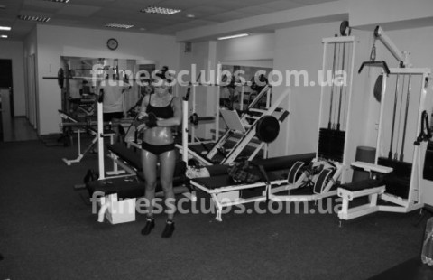 ������ ���� �������