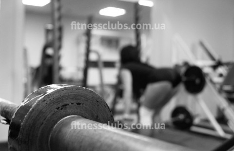 ������ ���� �������