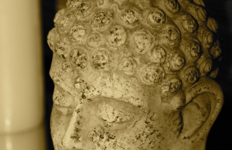 ������ ���� �Yoga club� 