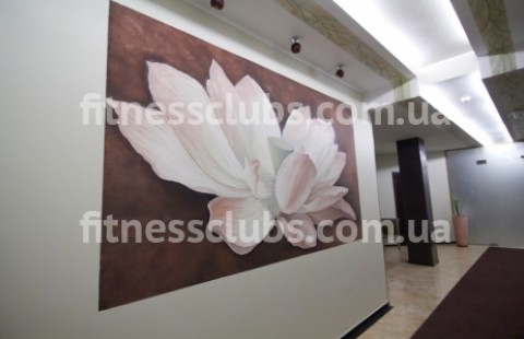 ������ ���� �Yoga club� 