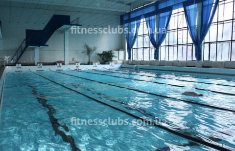 Бассейн «Дельфин»