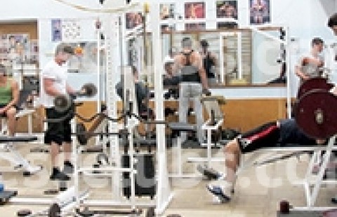 ����� ���� ������