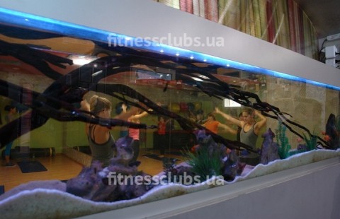 ���������� ���� ����� ����� �� �������