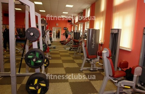 ���������� ���� ����� ����� � �������