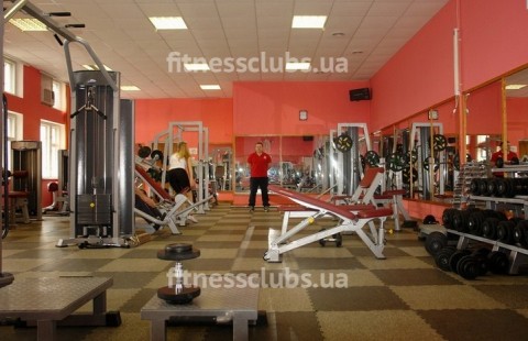 ���������� ���� ����� ����� � �������