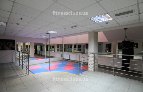 ������ ���� ������