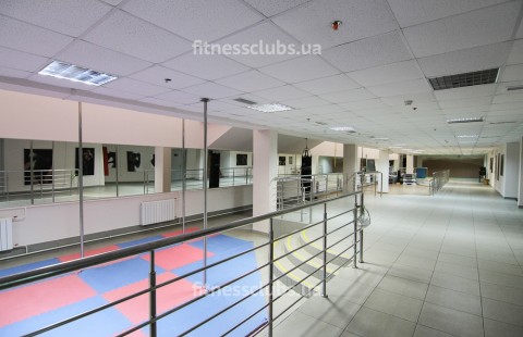 ������ ���� ������