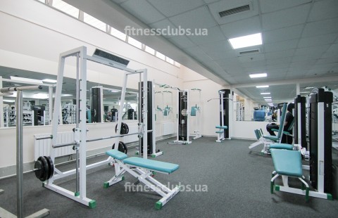 ������ ���� ������