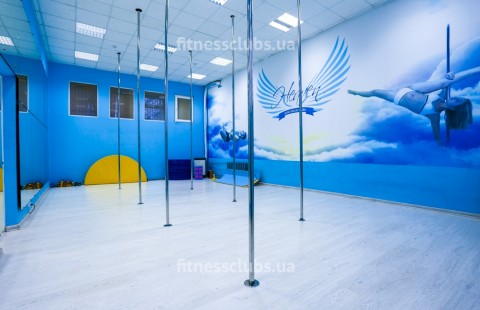 Студия пол дэнс «Heaven» Дарница