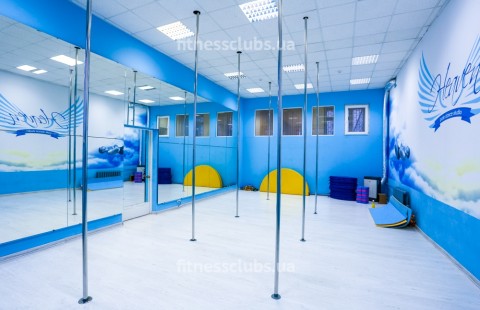 Студия пол дэнс «Heaven» Дарница