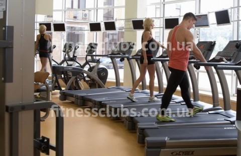 Фитнес клуб «Альпийский»