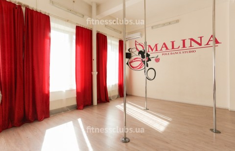 Студия pole dance «El Malina»