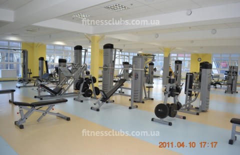 ������ ���� ���������