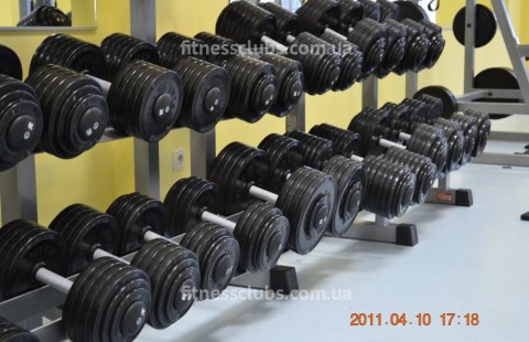 ������ ���� ���������