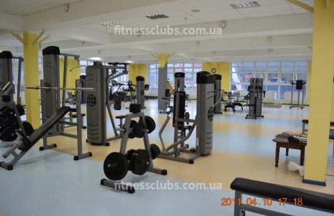 ������ ���� ���������