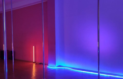 Студия Pole Dance «Kalipso»