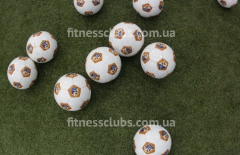 ������� ���������� ���� �Football Kids�