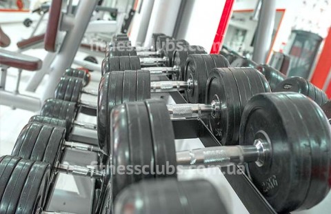 ������ ���� ������ GYM�