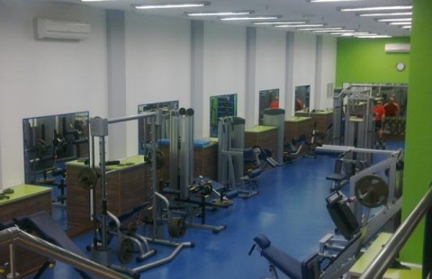 ������ ���� �FREESTYLE�