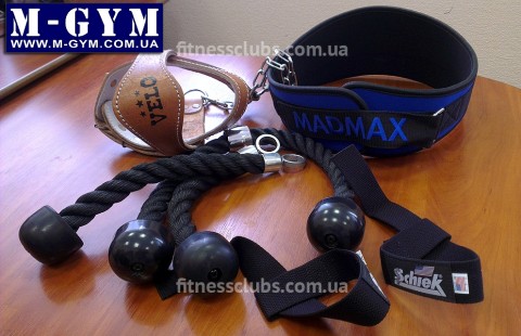 ������ ���� �M-GYM� 