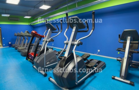 ������ ���� �������-�����