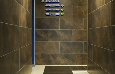 ������ ���� �������-�����