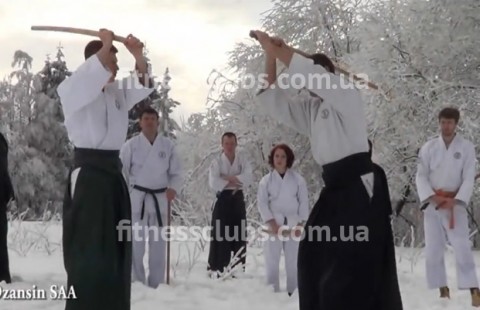 �������� ������ �Dzansin, SAA�