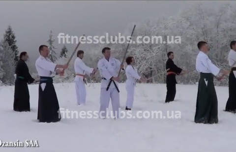 �������� ������ �Dzansin, SAA�