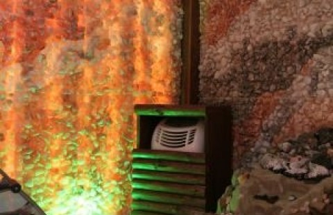 ������ ���� ��������� ������� XXI�