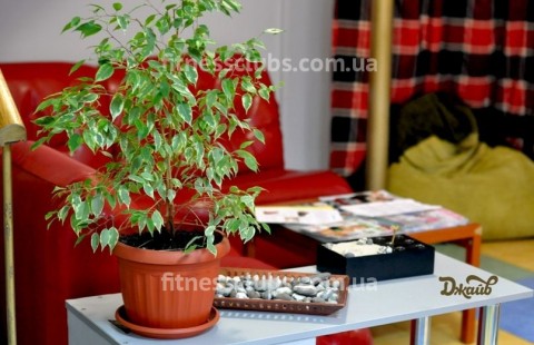 ������ ���� ������